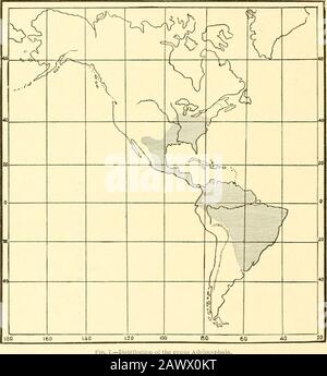 Monografia delle bomboniere del Nord America, comprese le loro trasformazioni e l'origine dei segni larvale e dell'armatura . emaster è lungo, sottile, stretto, piuttosto profondamente diviso alla fine, ma non diverso da quello di Anisota. 64 MEMORIE DELL'ACCADEMIA NAZIONALE DELLE SCIENZE. La mascella corta di .1. HiroIoi l'unica specie la cui pupa è stata esaminata, mostra che queste appendici sono state abortite in una certa forma ancestrale. DUtrihutlon geografico.- un genere dell'America centrale e del sud; le forme più primitive eralizzate dal punto di vista gen sono neogreiche, cioè brasiliane, e si estendono nell'Argent Foto Stock