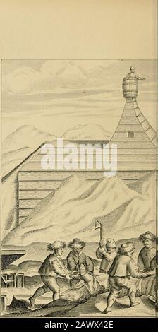 Una vera descrizione di tre viaggi da nord-est verso Cathay e la Cina : intrapresi dagli olandesi negli anni 1594, 1595 e 1596 . Come abbiamo girato un orso, wlierefrom abbiamo ottenuto j>i Foto Stock