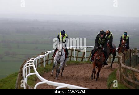 Cavalli fuori sulle galoppe durante la visita alle scuderie di Paul Nicholls a Manor Farm Stables, Ditcheat. Foto Stock