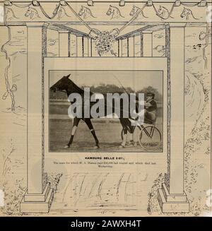 Allevatore e sportivo. VOLUME LV. N.20. SAN FRANCISCO, SABATO 13 NOVEMBRE. 1909. Abbonamento: 3,00 Usd All'Anno. ???Mk-urf-±. L'ALLEVATORE E SPORTIVO LSaturday, 13 novembre 1909. REDUCINE, il rimedio Umano [. Foto Stock