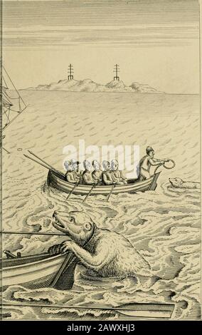 Una vera descrizione di tre viaggi da nord-est verso Cathay e la Cina : intrapresi dagli olandesi negli anni 1594, 1595 e 1596 . Come un orso venne al nostro boatj. MD quello che ebbe luogo Avith lui. Foto Stock