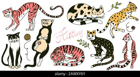 Collezione di gatti. Set di lavaggio, gioco e animali da notte. Gattino Domestico di colore carino. Disegno inciso a mano per banner o t-shirt. Monocromatico Illustrazione Vettoriale
