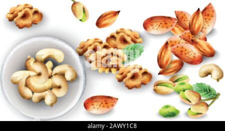 Set acquerello di dadi organici. Pistacchio, anacardi, noci e mandorle. Foglie di menta decorazioni. Vettore Illustrazione Vettoriale