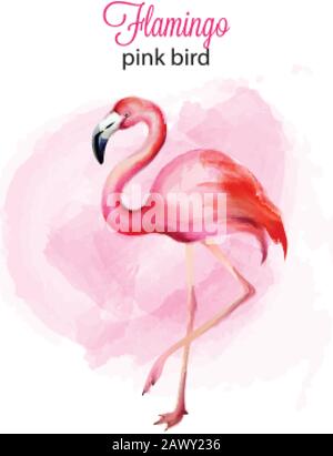 Acquerello fenicottero rosa uccello ritratto con sfondo. Vettore Illustrazione Vettoriale