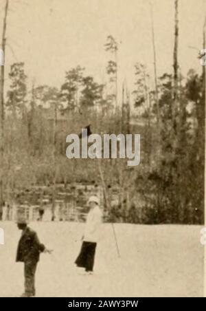 Viaggi invernali nel sud; impressioni di penna e macchina fotografica di uomini, maniere, donne e cose tutto il senso dal Golfo blu e New Orleans attraverso le palme alla moda Florida ai pini della Virginia. ^MheT :Jk. F. mk- -^. NONO BUCO, PINEHL RST COUKSE NO. 1, SHOWFXG IL CARATTERE DEL PAESE Foto Stock