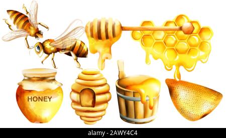 Set di acquerelli al miele con vaso, cucchiaia, api, nido d'ape, casa e secchio. Vettore Illustrazione Vettoriale