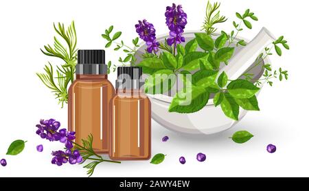 Bottiglia di olio essenziale di eucalipto con contagocce. Foglie di menta verde nel mulino delle spezie e decorazioni di fiori di lavanda. Vettore Sanitario Illustrazione Vettoriale