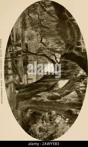 Viaggi invernali nel sud; impressioni di penna e macchina fotografica di uomini, maniere, donne e cose tutto il senso dal Golfo blu e New Orleans attraverso le palme alla moda Florida ai pini della Virginia. Desolazione accanto a questa ala showsdove la casa, vero, era. Fortunatamente il gar-den di Middleton Barony non è stato distrutto e questo è uno spettacolo molto bello, soprattutto nella earlyor primavera centrale, quando le azalee e altheas arein fiore. Parlando di giardini, tuttavia, inevitabilmente callsto mente il giardino di Drayton Hall, un vicino di Middleton Barony. Come con quest'ultimo, j Drayton ha Foto Stock