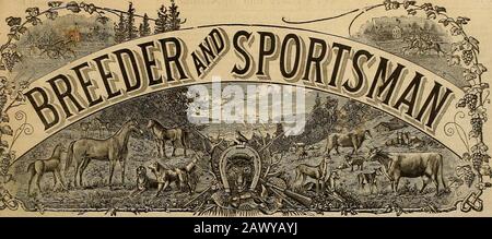 Allevatore e sportivo. PriestsNo. 16Hand-PowerClipper. Vol. XXXI. N. 24. TIO. 313 BUSH STEEET. SAN FRANCISCO, SABATO 11 DICEMBRE 1897. 8UB8CBIFTT0NTHREE DOLLARI UNO STRAPPO Futuro mercato per il cavallo. Il Sig. C. X. Larrabee, proprietario dello stockranch Brook-Nnok, Home Park, Montana, si trova in Oriente su una strada commerciale e sta ora rimanendo per alcuni giorni in questa città. Eleenyears fa il sig. Larrabee ha cominciato l'allevamento dei cavalli trotting ed ora Brook-Nook è uno dei più grandi stabilimenti del suo genere nel paese. Home Park si trova nella valle Knby, 125 miglia sooth ofBatte. Qualche idea della portata di MR. Foto Stock