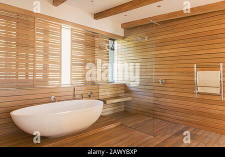 Vasca e doccia circondate da legno in bagno interno, moderno e di lusso Foto Stock