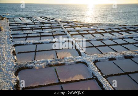 Saline. Evaporazione dell'acqua di mare per lasciare sale puro. Salinas De Fuencaliente, L'Isola Di Palma, Canarie. Foto Stock