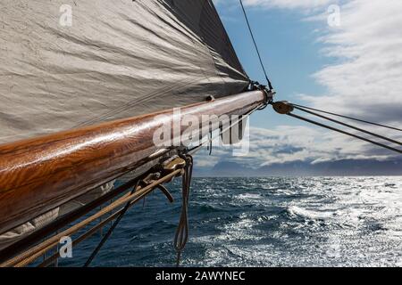 Albero di legno a vela sul soleggiato Oceano Atlantico Groenlandia Foto Stock