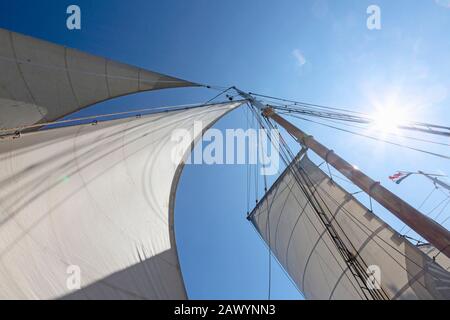 Barca a vela vela che soffia nel vento sotto il cielo blu soleggiato Foto Stock