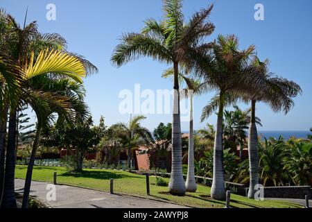 Foto generale del resort per le vacanze. Edifici del resort, palme e sentieri. Foto Stock