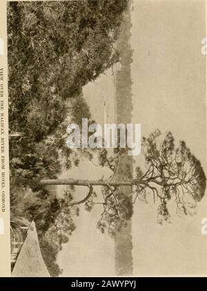 Viaggi invernali nel sud; impronte di penna e macchina fotografica di uomini, maniere, donne, e cose tutto il senso dal Golfo blu e New Orleans attraverso le palme alla moda Florida ai pini della Virginia. Lllleries, come sono calledin il sud, si estendono lontano fuori dalla casa simpatings. La casa stessa è grande, e con le verande di espreading copre un immenso spazio ofground. Ormond come altri della Florida East CoastResorts, è situato su un'isola a circa mezzo miglio dalla terraferma. È uno di quei isolani speculiar alla costa della Florida, molto lungo e verynarrow; non molto più di un miglio a Foto Stock