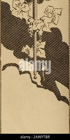 Creatori Di San Diego 1915 Panama-California Exposition . / /£ *. Foto Stock