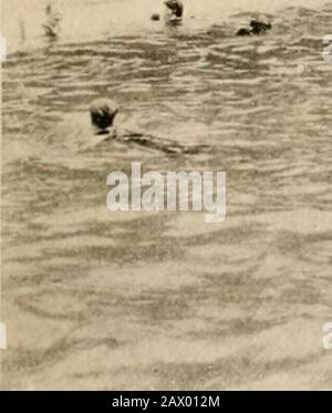 Viaggi invernali nel sud; impressioni di penna e macchina fotografica di uomini, maniere, donne e cose tutto il senso dal Golfo blu e New Orleans attraverso le palme alla moda Florida ai pini della Virginia. Iftfljiiil. -^*^^^^*»f 3; LA PISCINA Oh i UK KoYAL PALM MIAMI è quasi uniformemente chiara e la pioggia arriva a Janu-ary e febbraio, quando si è preparati per esso. Una delle caratteristiche essenziali di Miami che combina le attrazioni di un piccolo metropo-lis con quelle di un resort invernale di prima classe. La città ha più l'atmosfera di Atlanta che in qualsiasi altra città del sud che conosco. ITS per Foto Stock