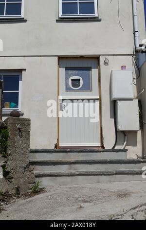 posizione insolita per una cerniera cat in una porta anteriore Foto Stock