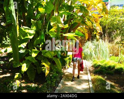 Ragazza nel Giardino Botanico di Valencia Foto Stock