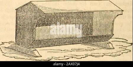 Allevamento di ovini nel sud: Comprende un trattato sull'acclimatazione degli ovini negli stati del sud, e un resoconto dei diversi breedsAlso, un manuale completo di allevamento, gestione estiva e invernale, e del trattamento delle malattie. . – è meglio avere un giorno dichiarato, in modo che non si dimenticano dieci, ed è bene posare il sale su pietre piatte, anche se se posate in littlehandsfripieni sull’erba, molto poco sarà perso. Tar. - Questo è supposto da molti per formare un condimento molto healthful forhement. Il naso della pecora è cosparso di questo, ed è leccato e inghiottito come il naturale Foto Stock