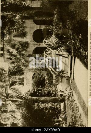 Viaggi invernali nel sud; impressioni di penna e macchina fotografica di uomini, maniere, donne e cose tutto il senso dal Golfo blu e New Orleans attraverso le palme alla moda Florida ai pini della Virginia. Classe FT^ ItjGop>Tight]^ C0£VRIGHT DEPOSSID VIAGGI INVERNALI NEL SUD Di John Martin Hammond CARATTERISTICI E SUOI-TORIC FORTS OFNORTH AMERICA Con settantuno illustrazioni da originalphotographs. Grande ottavo. Handsomelybound in stoffa. Piano dorato. In una scatola. €5,00 netti. IL DIGEST LETTERARIO. - la gamma di MR. Hammonds investigations e il indus-try che ha dimostrato nel dismessa il buriedromance di Amer Foto Stock