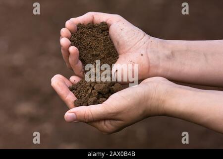 terreno fertile nelle mani delle donne Foto Stock