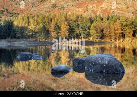 Bea Tarn, Langdale Pikes, Lake District, Cumbria, Inghilterra Foto Stock