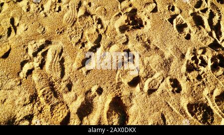 Impronte in sabbia dorata a Charmmouth Beach, Dorset, Inghilterra, Regno Unito Foto Stock