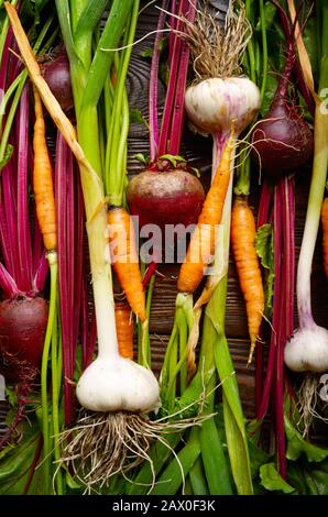 Sfondo vegetariano di organico fresco barbabietole aglio verde e carote da cucina in legno tavolo rustico Foto Stock