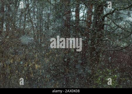 Glasgow, Regno Unito. 10th Feb, 2020. Tempesta Ciara ancora in gran parte del Regno Unito. Glasgow ha visto bande di grandine tempeste, con neve tra vento e brevi calme zone. Credito: Colin Fisher/Alamy Live News Foto Stock