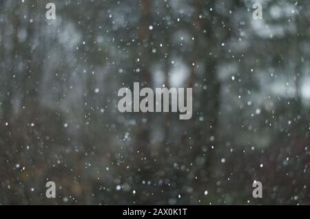 Glasgow, Regno Unito. 10th Feb, 2020. Tempesta Ciara ancora in gran parte del Regno Unito. Glasgow ha visto bande di grandine tempeste, con neve tra vento e brevi calme zone. Credito: Colin Fisher/Alamy Live News Foto Stock