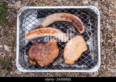 Il barbecue usa e getta si trova nella natura Inquinamento backgound Foto Stock