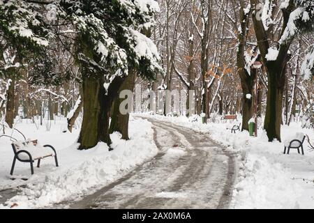 Vicolo nel Parco del Re Michele i (Herastrau) in inverno, Bucarest, Romania, con panchine laterali e alberi innevati. Foto Stock