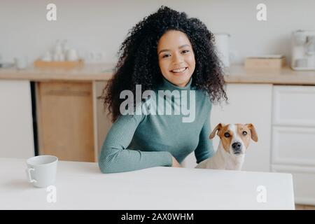 Bella donna con capelli ricci vestita in dolcevita casual, si siede al tavolo bianco in cucina, bevande tè da tazza, gioca con jack russell cane più terrier, e. Foto Stock