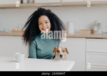 Bella giovane signora con capelli Afro gioca con il cane, indossa un comodo ponticello, bevande caffè o tè in cucina, andando a camminare insieme, gioire Foto Stock