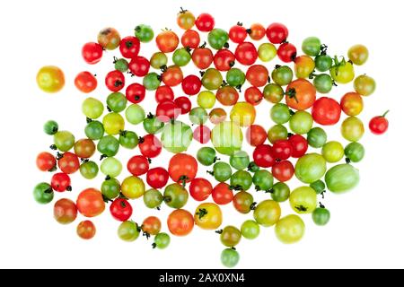 Top view Wild Tomato o Love Apple è un tipo di piccoli pomodori rotondi su sfondo bianco, nome scientifico Lycopersicum esculentum Mill Foto Stock