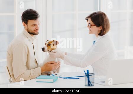 Shot di veterinario femminile si prende cura di un bel cane pedigree in clinica, dà un buon trattamento, esamina animale, parla e dà consigli al proprietario, posa a des Foto Stock