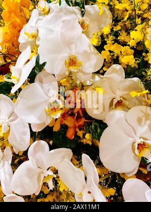 Bouquet di fiori, composizione ravvicinata di un bouquet di fiori, rose rosse, girasoli, foglie verdi. Decorazione floreale, regalo per il giorno delle donne, matrimonio Foto Stock