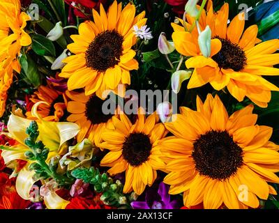 Bouquet di fiori, composizione ravvicinata di un bouquet di fiori, rose rosse, girasoli, foglie verdi. Decorazione floreale, regalo per il giorno delle donne, matrimonio Foto Stock