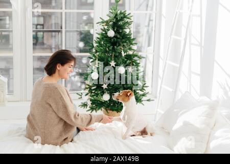 Foto di bruna felice giovane donna tiene zampa di cane preferito, indossa maglione marrone, sedersi su comodo letto in camera accogliente, godersi la vacanza di Capodanno, beaut Foto Stock
