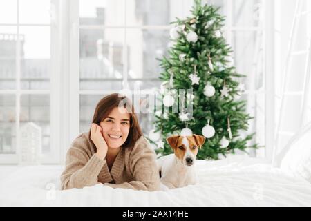 Rilassante bella ragazza dai capelli scuri posa sul letto con preferito animale domestico, gode di tempo di lettiera, ha giorno pigro durante le vacanze invernali, decorato New Yea Foto Stock