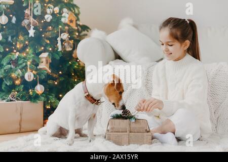 Scatto orizzontale di adorabile bambina con coda di pony, vestito di maglione invernale bianco, si siede gambe incrociate sul pavimento, impacchi regalo di Natale, bello Foto Stock
