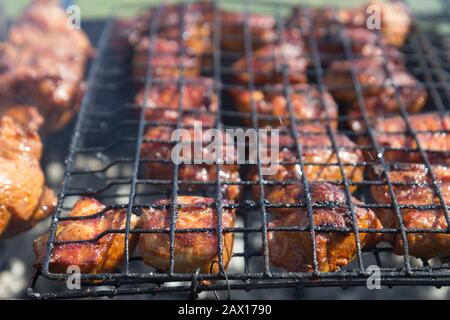 Barbecue con carne sulla natura, all'aperto, primo piano Foto Stock