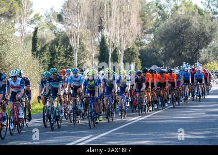 Gare ciclistiche sul ma-3440, vicino Inca, Mallorca, Isole Baleari, Spagna, Foto Stock