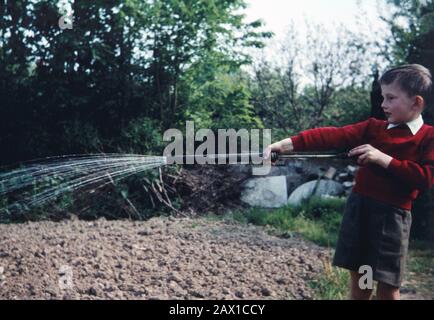 Ragazzo di cinque anni che usa uno spruzzatore da giardino per innaffiare il giardino nel 1959. Foto Stock