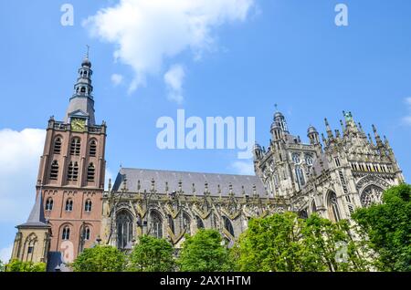 Cattedrale Di San Giovanni A Hertogenbosch, Brabante Nord, Paesi Bassi. Architettura gotica olandese, la più grande chiesa cattolica dei Paesi Bassi. Dominante del centro città. Foto Stock
