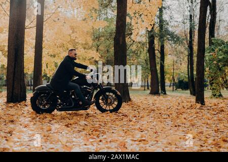 Bello spensierato motociclista ride veloce moto, indossa le sfumature, giri in bicicletta nel parco, posa contro alberi gialli e fogliame, spazio vuoto per Foto Stock