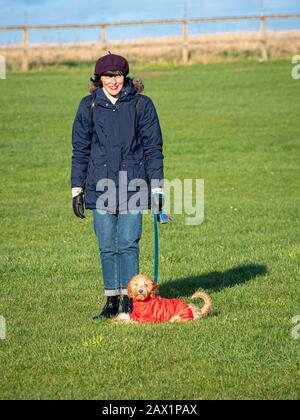 Donna caucasica che indossa un cappotto caldo e un berretto che cammina un cucciolo di cockapoo, indossando un cappotto rosso. Foto Stock