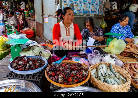 Una Donna Locale Tiene Flies Lontano Dal Suo Stall Di Pesce Nello Zar Nath Fish Market, Battambang, Cambogia. Foto Stock