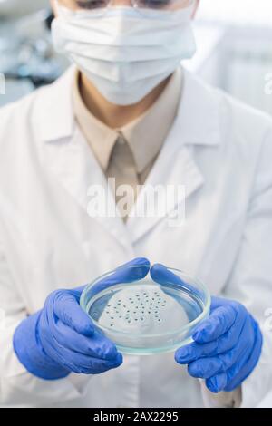 Medico non riconoscibile indossando maschera protettiva e guanti che tengono piatto di coltura cellulare Foto Stock